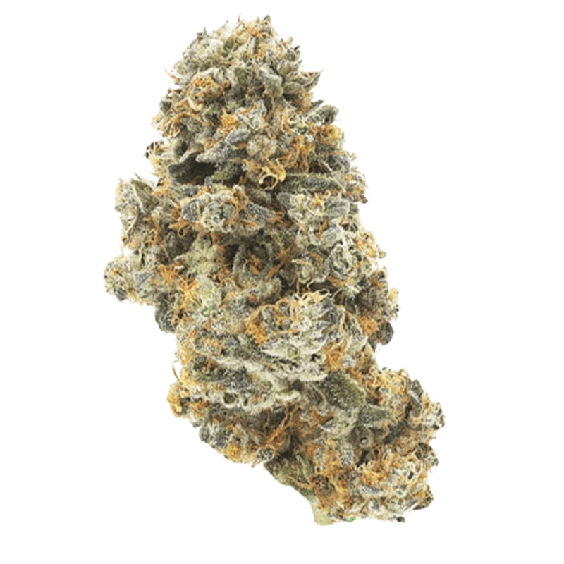 Jolly Boys 7 g Double Baked Cake Flower