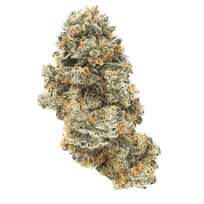 Jolly Boys 7 g Double Baked Cake Flower