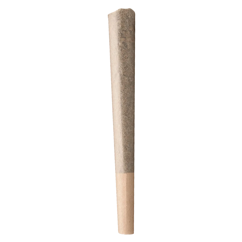 Buddy Blooms 2 g Biggest Buddy Indica PR 1 x 2 g Pre-Rolls