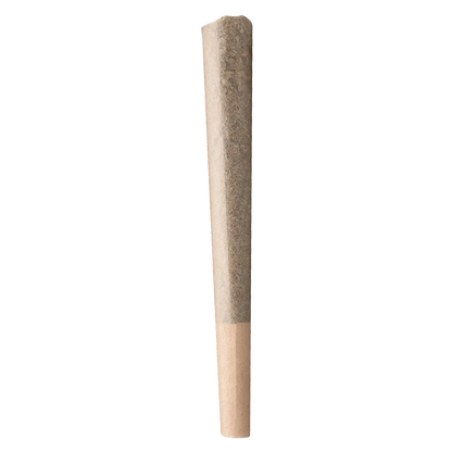 Buddy Blooms 2 g Biggest Buddy Indica PR 1 x 2 g Pre-Rolls