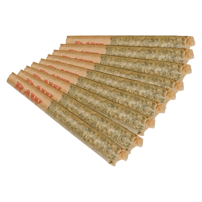 Angled top-down view of a fanned row of Goofiez PR 10 x 0.5 g pre-rolled cones with visible paper tips and packed herb.