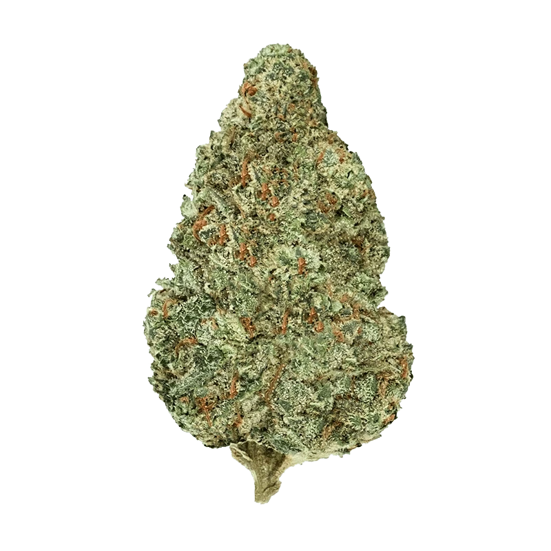 Top-down close-up of a single frosty green bud of Chemzilla centered on a plain background.