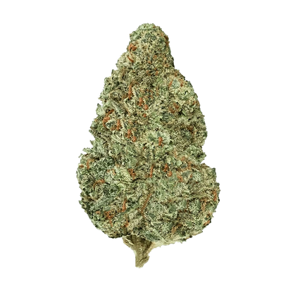 Top-down close-up of a single frosty green bud of Chemzilla centered on a plain background.
