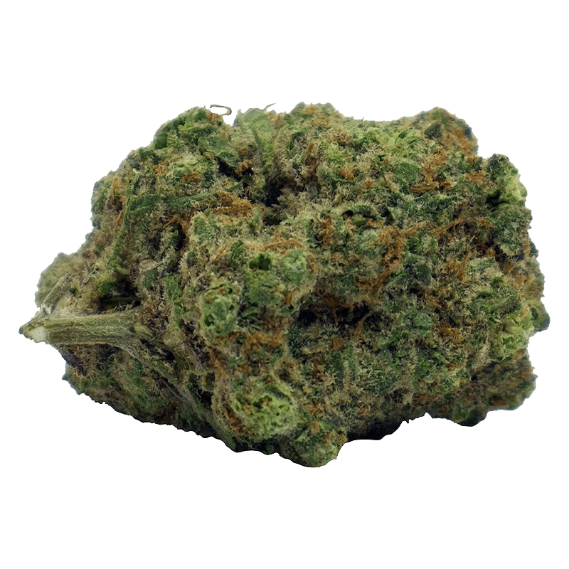 Close-up, slightly angled view of a dense green and orange bud labeled Blood Orange Kush, showing trichomes and a short stem.