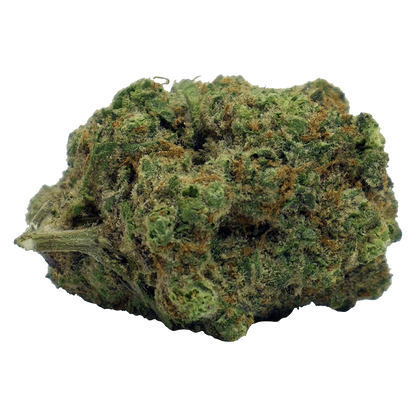 Close-up, slightly angled view of a dense green and orange bud labeled Blood Orange Kush, showing trichomes and a short stem.