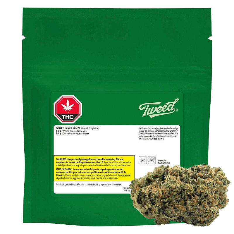 Front-facing green pouch labeled "Tweed Sour Sucker Mints" with a white info panel and a cannabis bud placed at the lower right.