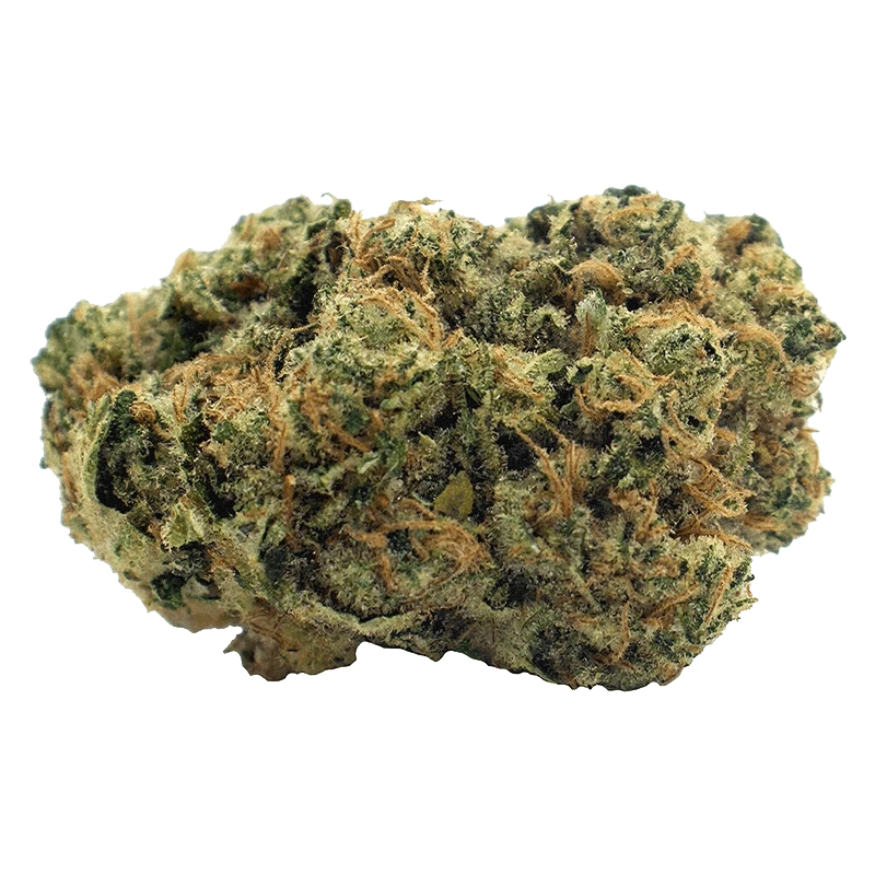 Close-up front view of a single dense nugget of Sour Sucker Mints showing green and orange hairs and frosty trichomes.