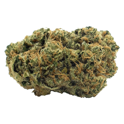 Close-up front view of a single dense nugget of Sour Sucker Mints showing green and orange hairs and frosty trichomes.