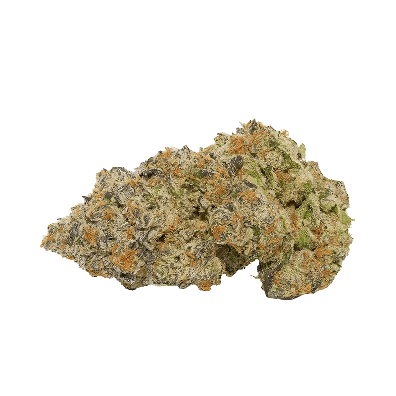 Close-up of a single nugget of Coffee Creamer showing frosty trichomes, orange pistils, and green leaf details against a plain background