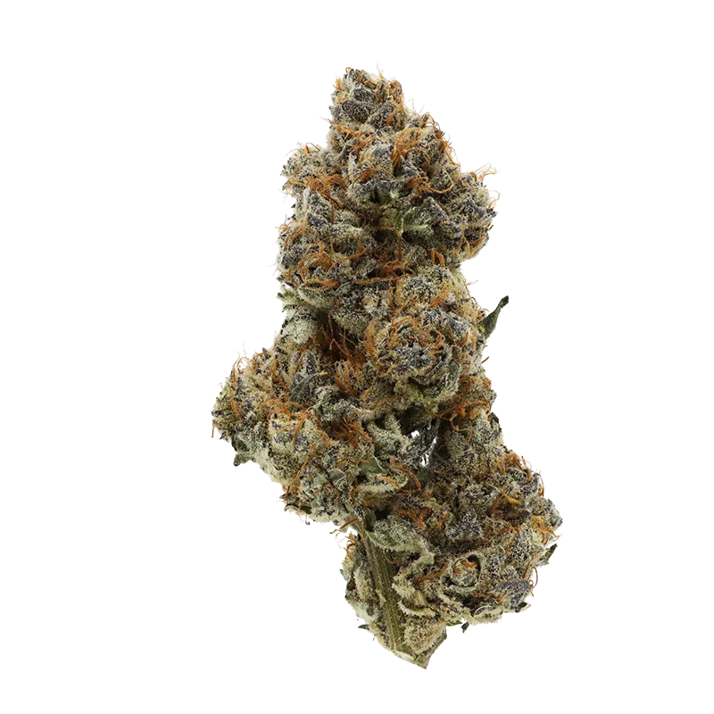Jolly Boys 7 g Kim's Sweet Diesel Flower