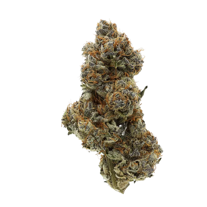 Jolly Boys 7 g Kim's Sweet Diesel Flower