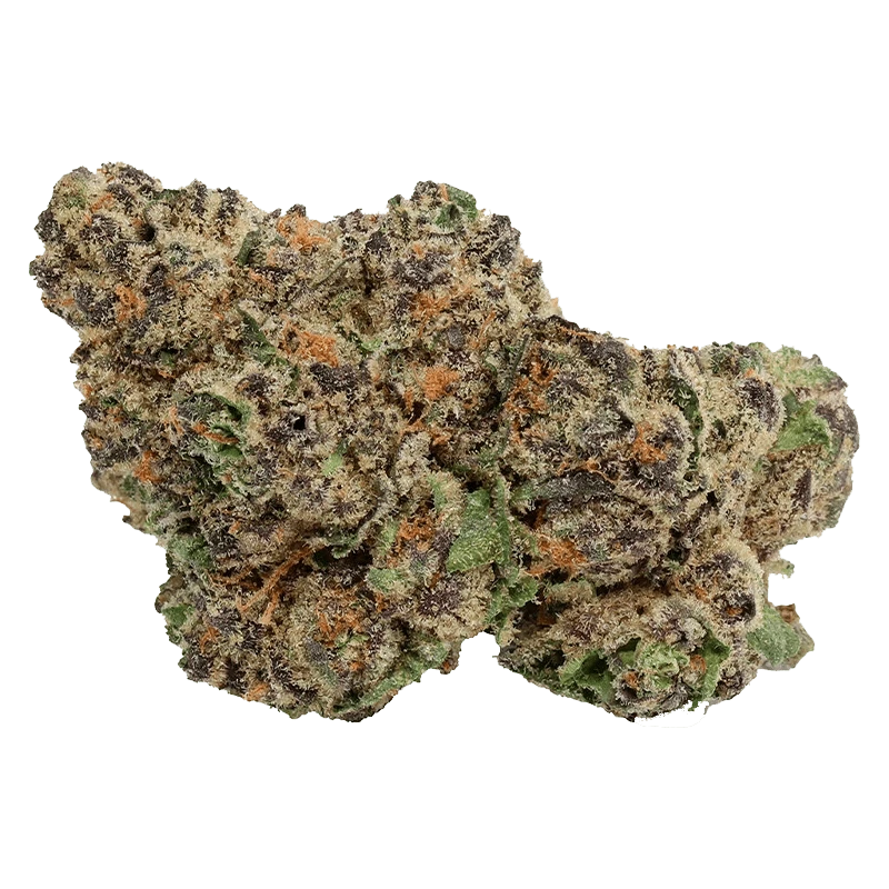Close-up of a frosty bud of Hawaiian Marker showing dense green, purple, and orange trichome-covered nugs against a plain background.
