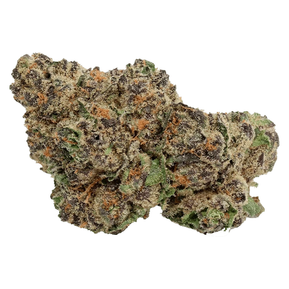Close-up of a frosty bud of Hawaiian Marker showing dense green, purple, and orange trichome-covered nugs against a plain background.