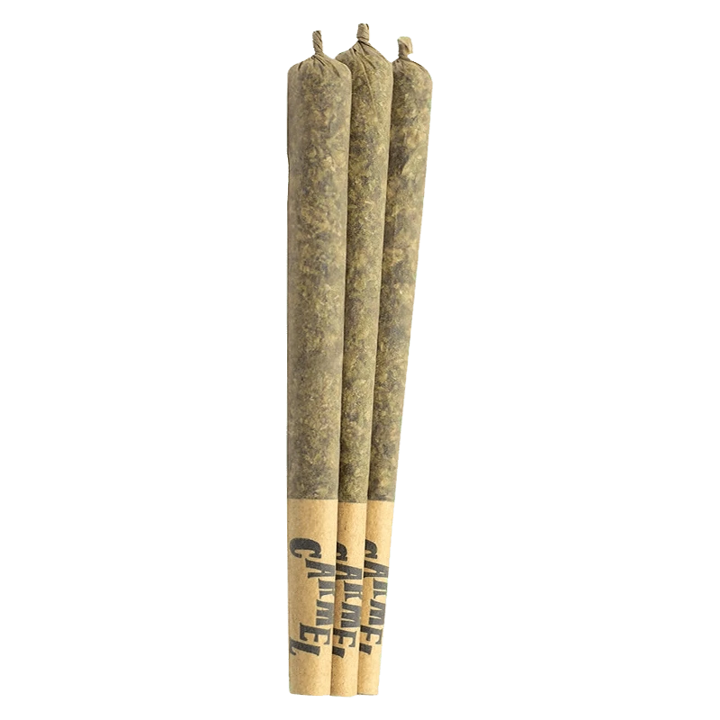Three pre-rolled joints photographed upright on a white background, labeled "Straight Cash Homie PR 3 x 0.5 g" at the paper tips.