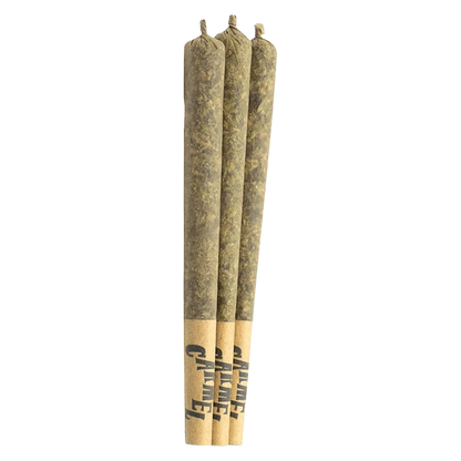 Three pre-rolled joints photographed upright on a white background, labeled "Straight Cash Homie PR 3 x 0.5 g" at the paper tips.