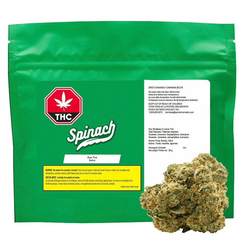 Green resealable pack photographed head-on with a bud at the lower right, labeled Spinach Blue Thai.