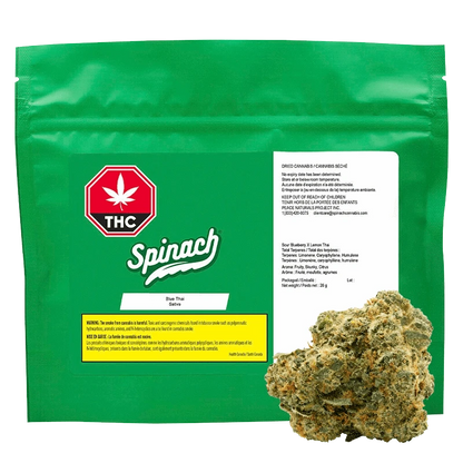 Green resealable pack photographed head-on with a bud at the lower right, labeled Spinach Blue Thai.