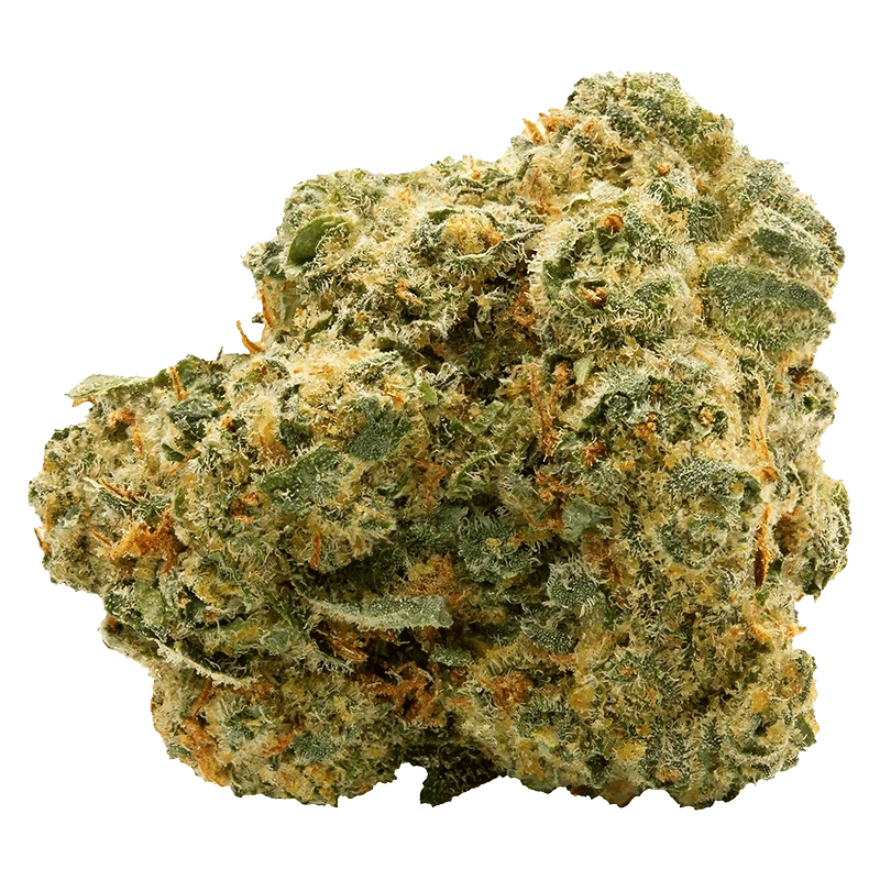 Close-up front view of a single dense "Blue Thai" bud showing frosty trichomes, green leaves and orange hairs against a plain background.