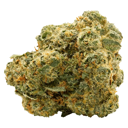 Close-up front view of a single dense "Blue Thai" bud showing frosty trichomes, green leaves and orange hairs against a plain background.