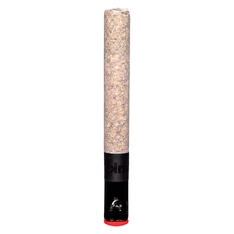Vertical studio shot of The Magnum PR 1 x 1.5 g pre-roll showing its textured brown paper and glossy black filter with a red tip.
