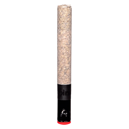 Vertical studio shot of The Magnum PR 1 x 1.5 g pre-roll showing its textured brown paper and glossy black filter with a red tip.