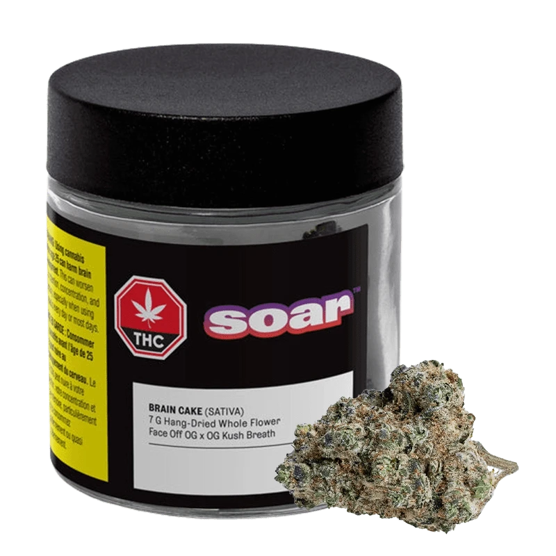 Front three-quarter view of a black-lidded jar labeled "Soar Brain Cake" with a frosty cannabis bud resting against its base