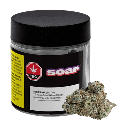 Front three-quarter view of a black-lidded jar labeled "Soar Brain Cake" with a frosty cannabis bud resting against its base