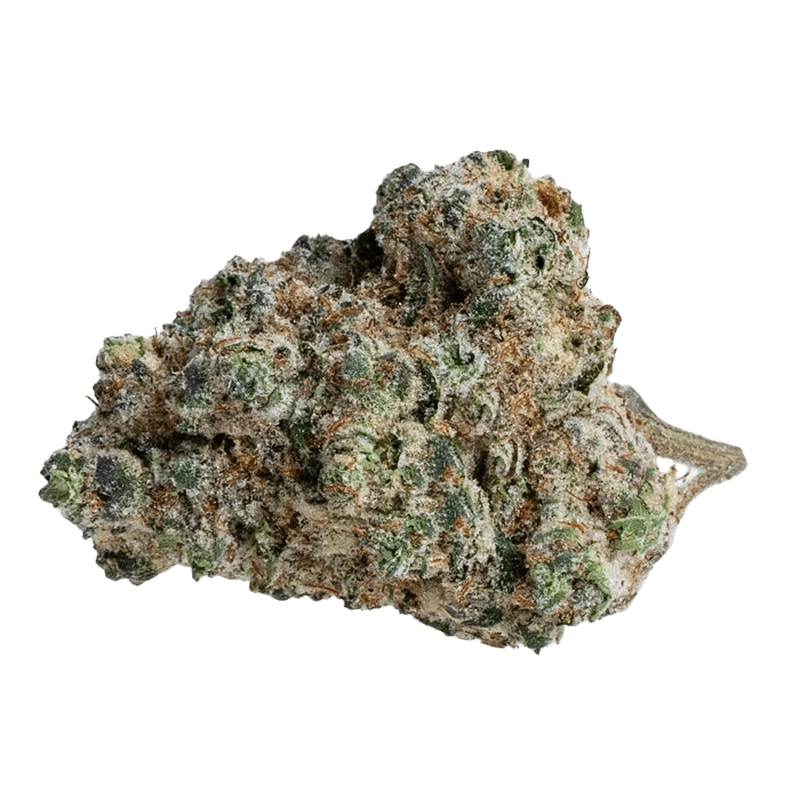 Close-up of a frosty nug photographed against a plain background, showing the textured surface of the Brain Cake.