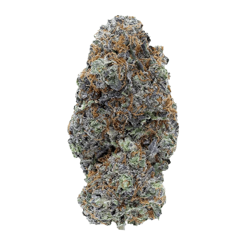 Close-up, top-down view of a frosty, purple-green Flavours cannabis bud with orange pistils and dense trichomes.