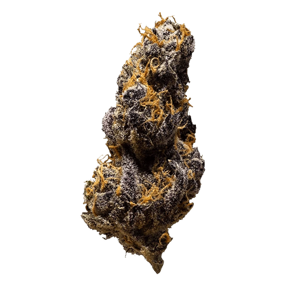 Close-up of a frosty, dark purple nugget titled "Black Cheese," showing dense trichomes and orange pistils against a plain background.