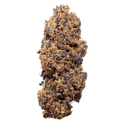 Close-up front view of the Lemon Whips bud against a plain background, showing dense purple-green nugs and bright orange hairs.