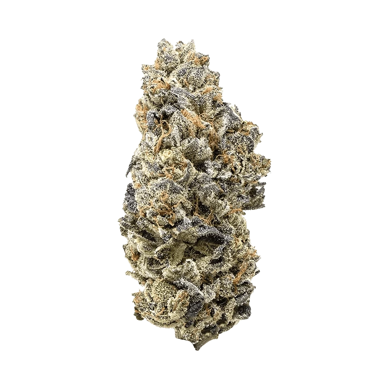 Close-up front view of a single frosty bud of Durban Poison showing dense green and purple leaves dusted with white trichomes and orange pistils.