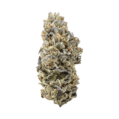 Close-up front view of a single frosty bud of Durban Poison showing dense green and purple leaves dusted with white trichomes and orange pistils.