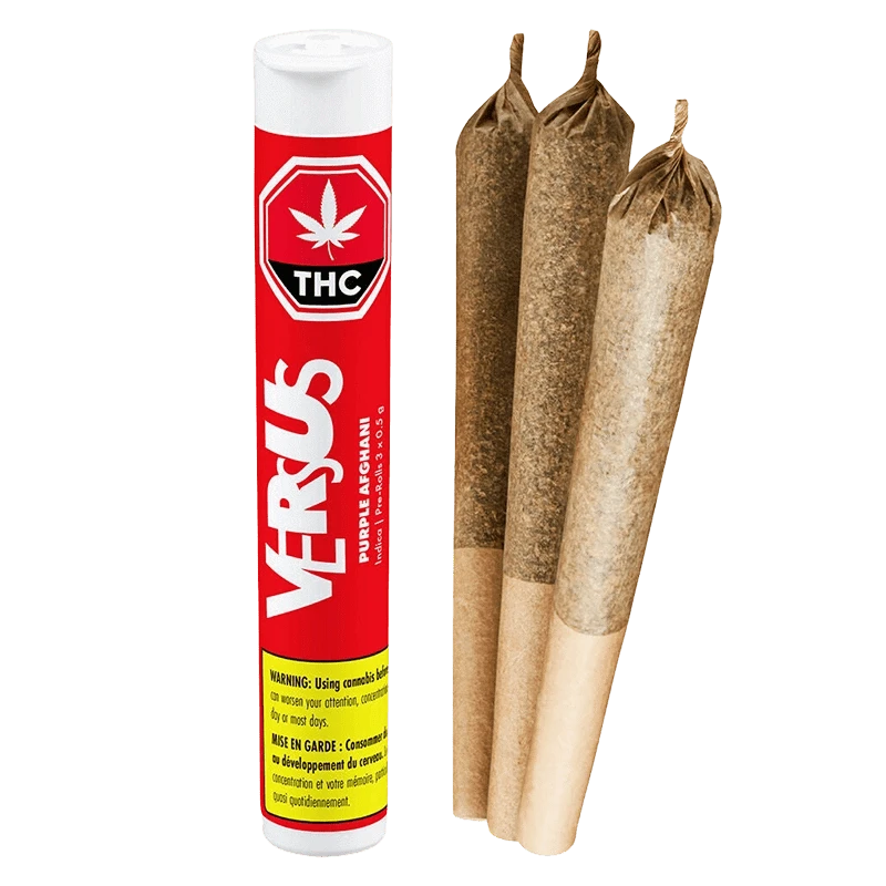 Front-facing shot of the Purple Afghani PR 3 x 0.5 g tube branded VERSUS standing next to three pre-rolled joints on a white background.