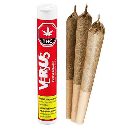 Front-facing shot of the Purple Afghani PR 3 x 0.5 g tube branded VERSUS standing next to three pre-rolled joints on a white background.