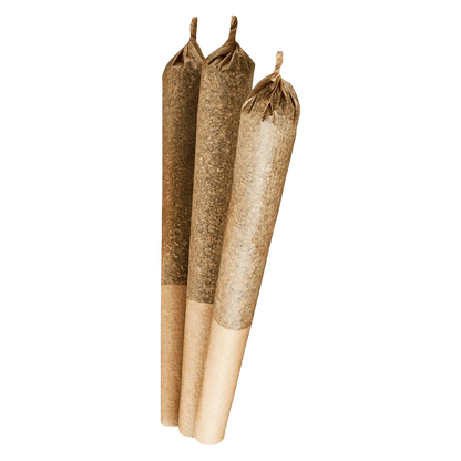 Three pre-rolled cones photographed upright on a white background for "Purple Afghani PR 3 x 0.5 g".