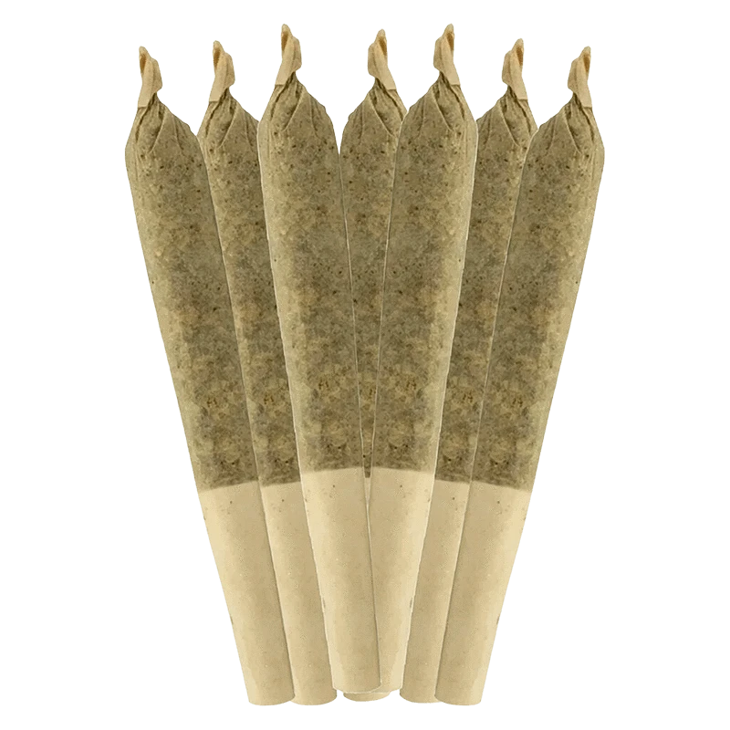 Centered front view of seven cone joints fanned upright, labeled Coffin Candy PR 7 x 0.5 g, on a plain transparent background.