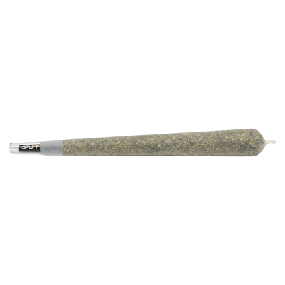 Side profile of a rolled Javelin Premium Glass Tip PR 1 x 2 g joint with a visible glass tip and packed herbal filler.