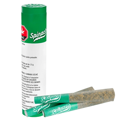Angled front view of a green-and-white tube with two spinach-branded joints in front, labeled "Blue Thai PR 3 x 0.5 g".