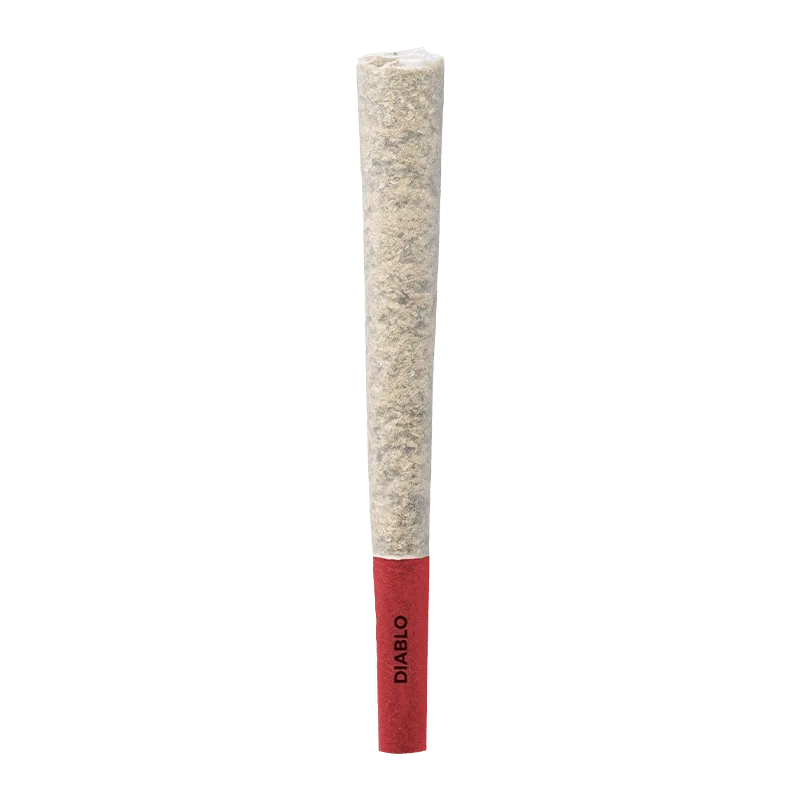 Centered vertical view of a single Diablo PR 1 x 1 g pre-roll with a textured beige paper body and a red filter tip labeled "DIABLO".