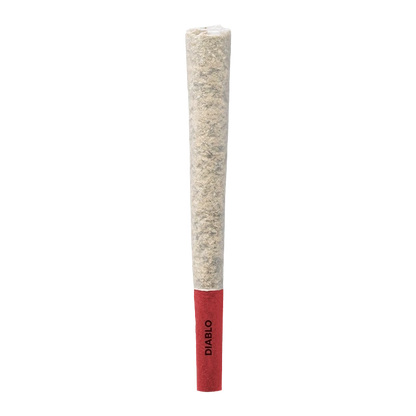 Centered vertical view of a single Diablo PR 1 x 1 g pre-roll with a textured beige paper body and a red filter tip labeled "DIABLO".