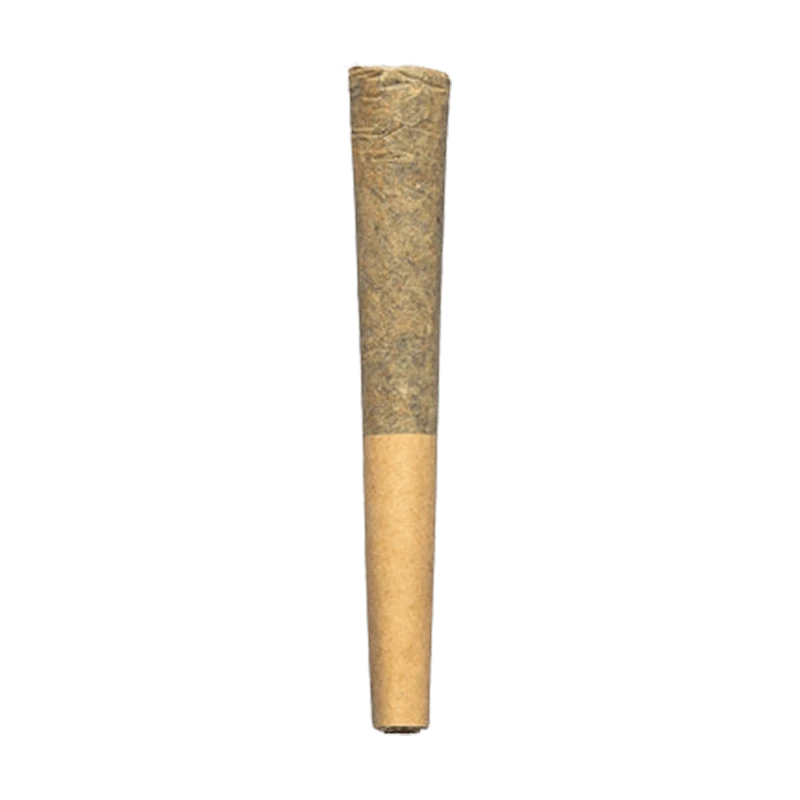Center-aligned close-up of a single Day Trippin PR 1 x 0.5 g pre-rolled cone against a plain green background, showing its taper and two-tone paper.