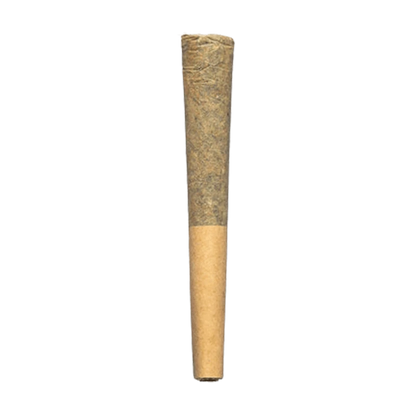 Center-aligned close-up of a single Day Trippin PR 1 x 0.5 g pre-rolled cone against a plain green background, showing its taper and two-tone paper.