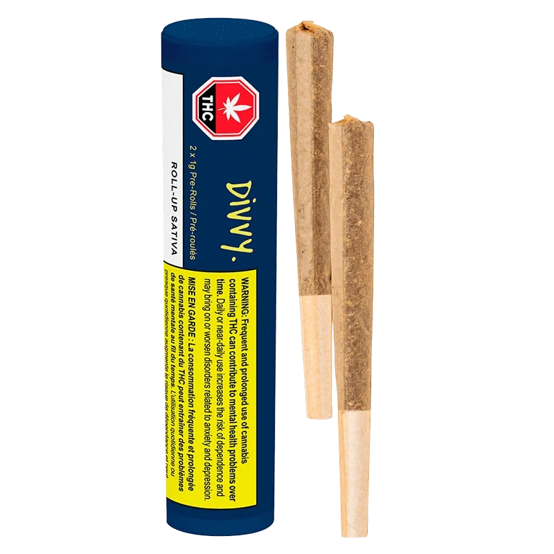 Vertical studio shot of a navy tube labeled "Divvy Roll Up Sativa PR 2 x 1 g" alongside two upright pre-rolled joints.