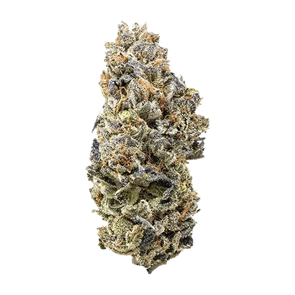 Crooked Dory 28 g Durban Poison Flower