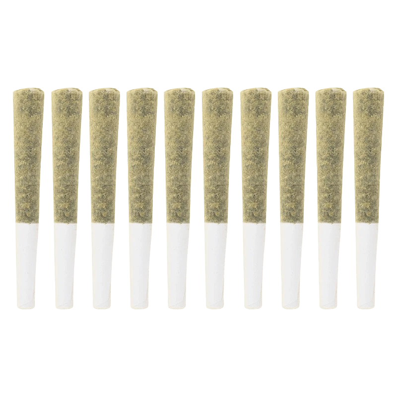 Row of ten evenly spaced pre-rolled joints shown from the side on white background, labeled Exotic Gas PR 10 x 0.5 g.