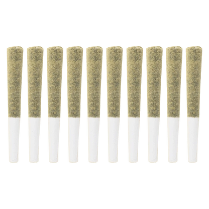 Row of ten evenly spaced pre-rolled joints shown from the side on white background, labeled Exotic Gas PR 10 x 0.5 g.