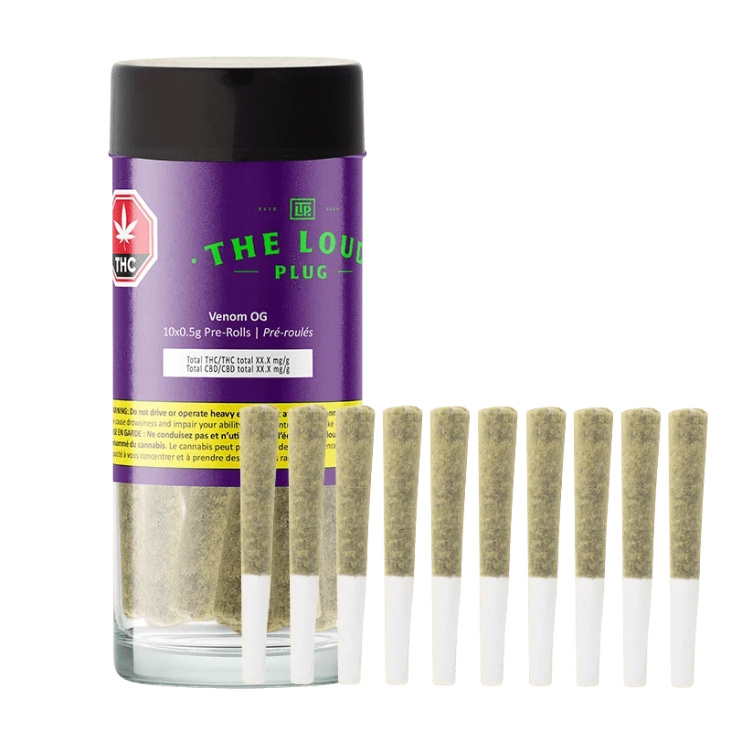 Front view of a clear glass jar with a purple label and black lid reading "Venom OG PR 10 x 0.5 g", shown beside ten pre-rolls standing upright.