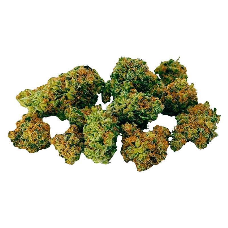 Close-up of green and orange Grape Limeade Botanical Buds nugs clustered together against a transparent background.