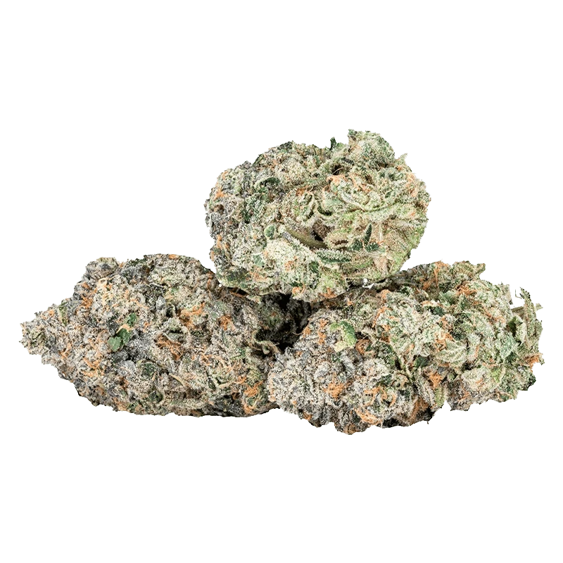 Close-up of three frosty EXPO67 cannabis buds showing green, purple, and orange hairs with dense crystalline trichomes.